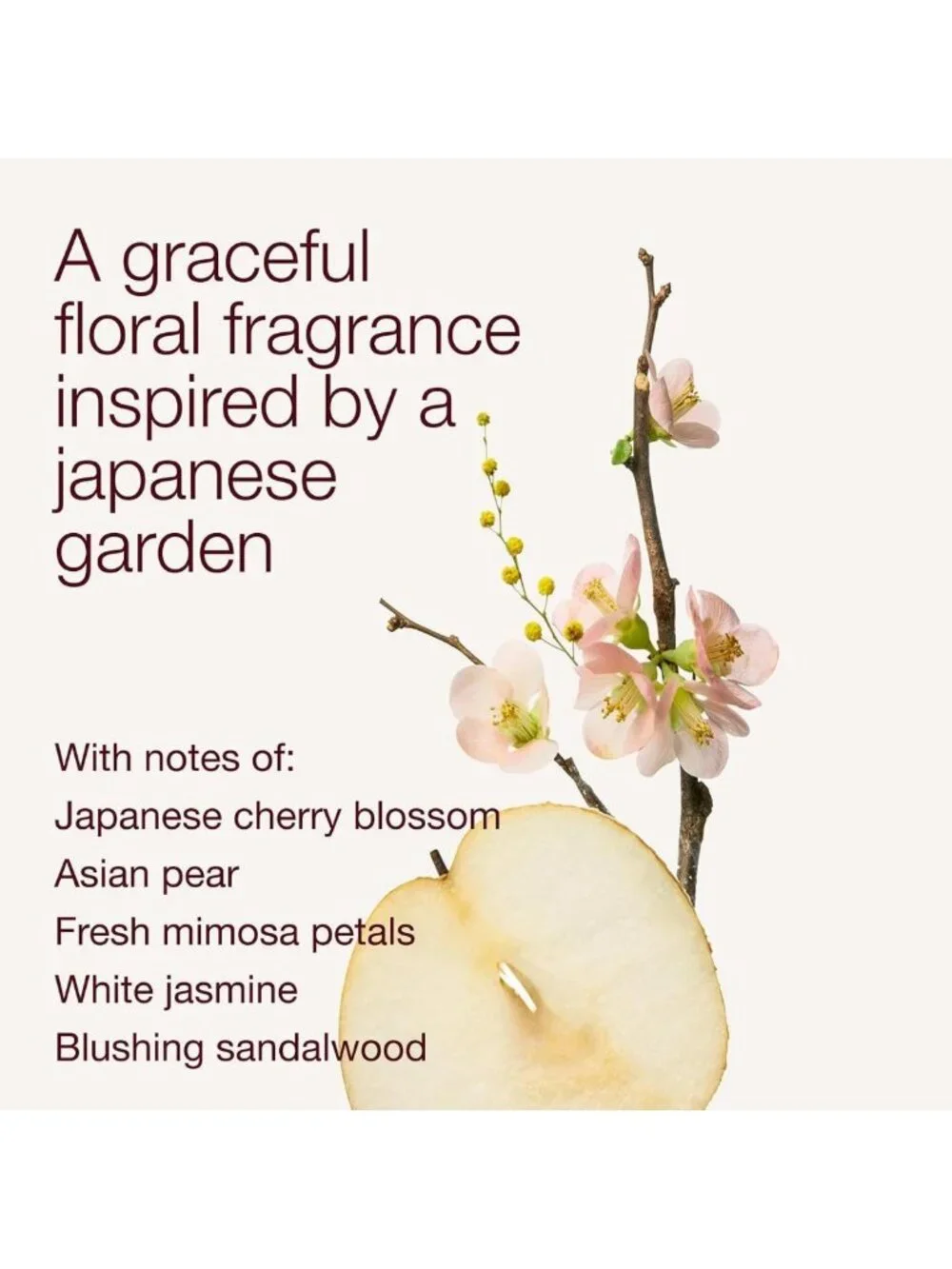 Hydrating Body Lotion, Japanese Cherry Blossom Scent, 8 fl oz, Moisturizing Skin